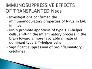  Investigations confirmed the 
immunomodulatory properties of NPCs in EAE 
in mice. 
 NPCs promote apoptosis of type 1 T-helper 
cells, shifting the inflammatory process in the 
brain toward a more favorable climate of 
dominant type 2 T-helper cells 
 Significant suppression of proinflammatory 
cytokines 
 