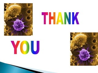 Stem cell therapy in neurological diseases