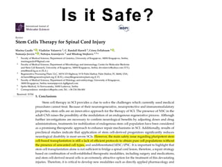 Stem cell therapy in spinal cord injury - Debate (Against the motion) | PPT