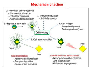 Stem cell therapy neurological disorders | PPTX