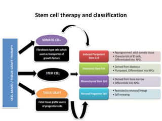 Stem cell therapy neurological disorders | PPTX