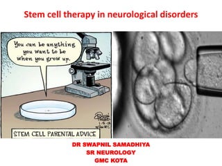 Stem cell therapy in neurological disorders
DR SWAPNIL SAMADHIYA
SR NEUROLOGY
GMC KOTA
 