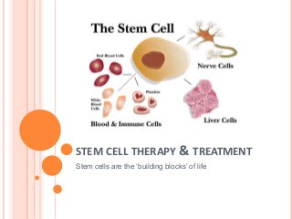 STEM CELL THERAPY & TREATMENT
Stem cells are the ‘building blocks’ of life

 