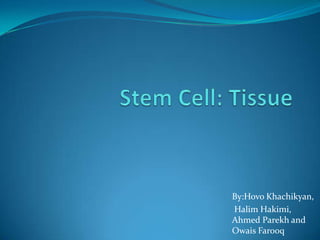 By:Hovo Khachikyan,   Halim Hakimi,Ahmed Parekh andOwaisFarooq Stem Cell: Tissue 
