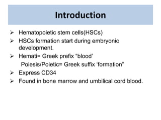 Introduction
 Hematopoietic stem cells(HSCs)
 HSCs formation start during embryonic
development.
 Hemati= Greek prefix “blood’
Poiesis/Poietic= Greek suffix ‘formation”
 Express CD34
 Found in bone marrow and umbilical cord blood.
 