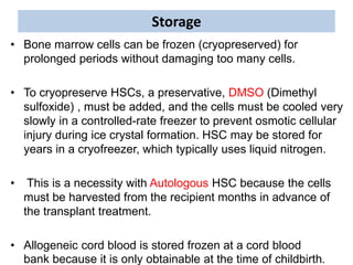 Storage
• Bone marrow cells can be frozen (cryopreserved) for
prolonged periods without damaging too many cells.
• To cryopreserve HSCs, a preservative, DMSO (Dimethyl
sulfoxide) , must be added, and the cells must be cooled very
slowly in a controlled-rate freezer to prevent osmotic cellular
injury during ice crystal formation. HSC may be stored for
years in a cryofreezer, which typically uses liquid nitrogen.
• This is a necessity with Autologous HSC because the cells
must be harvested from the recipient months in advance of
the transplant treatment.
• Allogeneic cord blood is stored frozen at a cord blood
bank because it is only obtainable at the time of childbirth.
 