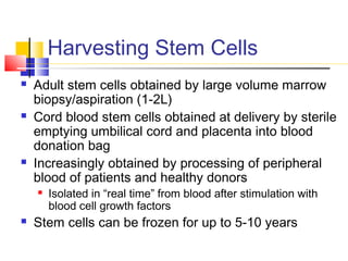 Harvesting Stem Cells
 Adult stem cells obtained by large volume marrow
biopsy/aspiration (1-2L)
 Cord blood stem cells obtained at delivery by sterile
emptying umbilical cord and placenta into blood
donation bag
 Increasingly obtained by processing of peripheral
blood of patients and healthy donors
 Isolated in “real time” from blood after stimulation with
blood cell growth factors
 Stem cells can be frozen for up to 5-10 years
 