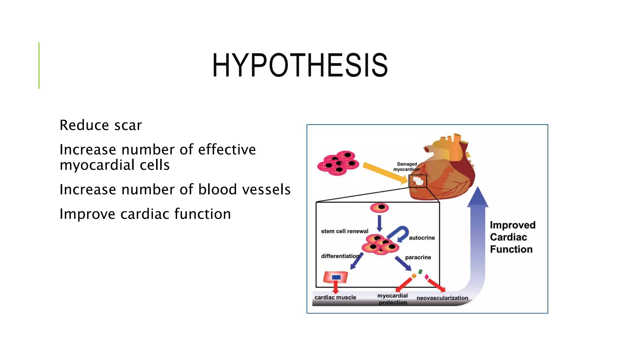 HYPOTHESIS
Reduce scar
Increase number of effective
myocardial cells
Increase number of blood vessels
Improve cardiac function
 