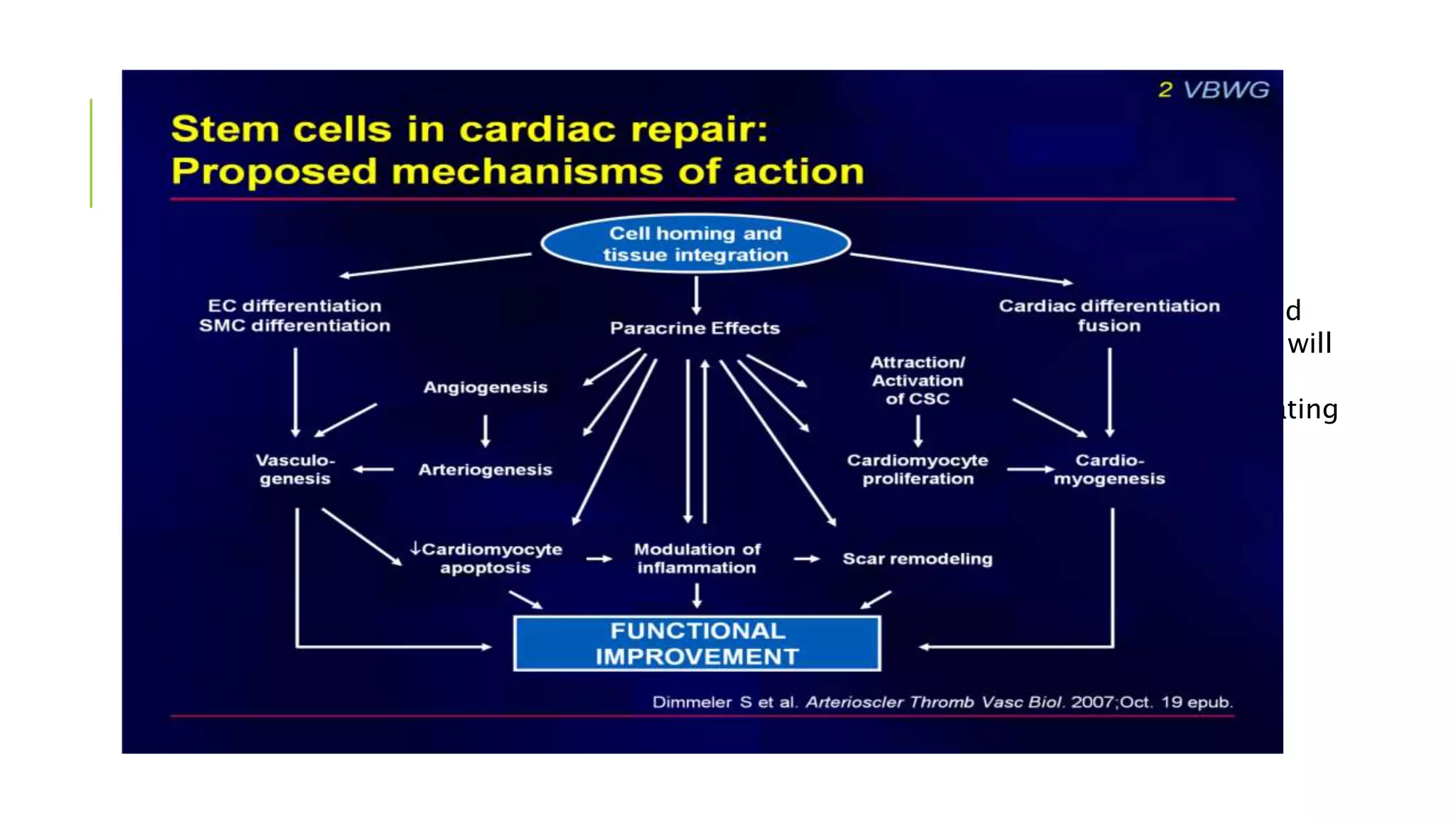 THE STEM CELL CONUNDRUM
Well-designed, large-scale, randomized
clinical trials with objective end points will
help to fully realize the therapeutic
potential of cell-based therapy for treating
heart failure
 