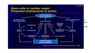 THE STEM CELL CONUNDRUM
Well-designed, large-scale, randomized
clinical trials with objective end points will
help to fully realize the therapeutic
potential of cell-based therapy for treating
heart failure
 