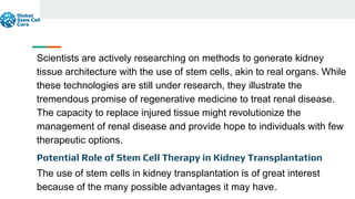 Stem Cell Transplantation of the Kidney The Future of Regenerative ...