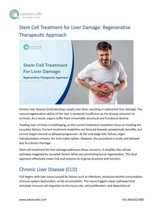 Stem Cell Treatment For Liver Damage: Regenerative Therapeutic Approach ...