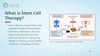 Stem Cell Treatment for Male Infertility: A New Hope" | PPTX