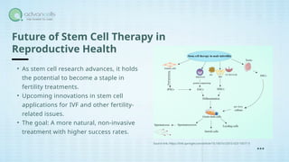 Stem Cell Treatment for Male Infertility: A New Hope" | PPTX