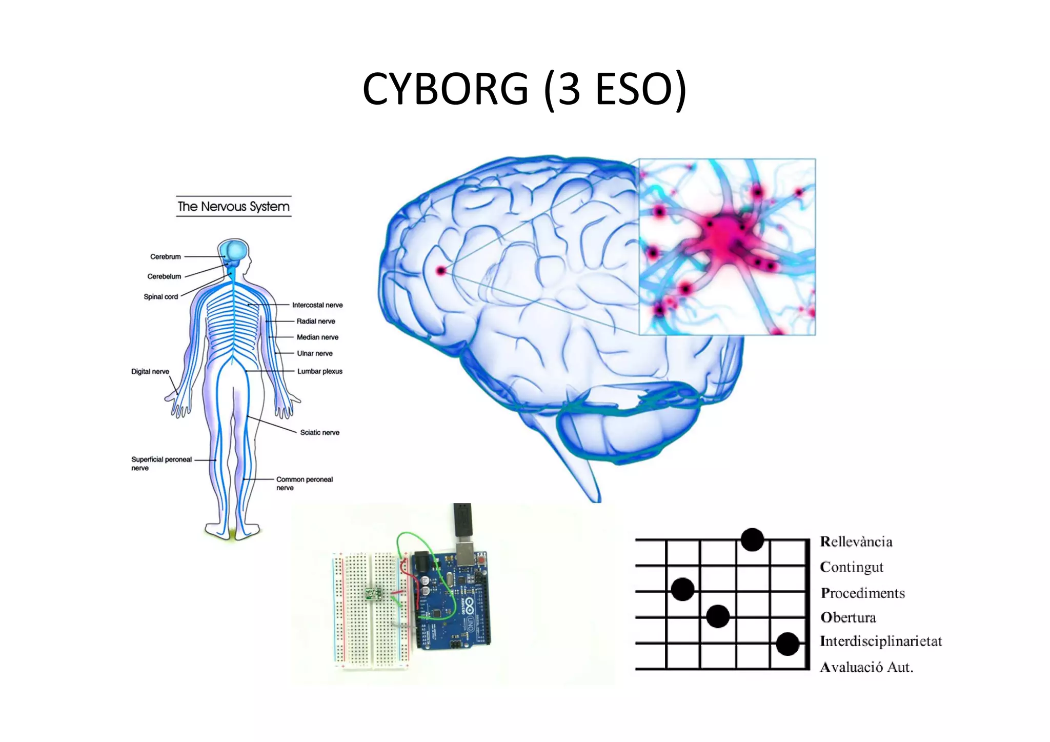 CYBORG (3 ESO)
 