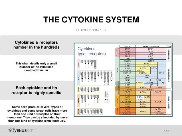 Cytokine Function Chart