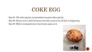 COKE EGG
Day #1- The coke egg has no immediate reaction when placed.
Day #2- Seems to be a little bit brown but that seems to be all that is happening.
Day #3- With it turning brown it has brown spots on it.
 
