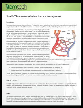 StemFlo™ improves vascular functions and hemodynamics

Introduction
The microvasculature (microscopic blood vessels) consists of small arterioles carrying the blood away from the heart to the tissues and venules carrying the blood
away from the tissues back to the heart. Between arterioles and venules are the capillaries where O2 and CO2 exchange take place, as well as nutrient delivery.

A portion of the capillary referred to as the post-capillary venule is a highly significant site for
cellular migration from blood into tissue. It is at the level of the post-capillary venule that stem
cells can migrate out of the blood into tissues. Therefore, it has been suggested that blocking of
capillaries, which hinders blood flow to the post-capillary venules, may reduce migration of stem
cells into tissue. If this hypothesis is correct, then it follows that the removal of obstructions in the
microvascular system, particularly the capillaries, may facilitate stem cell migration into tissues.

Certain nutritional and nutraceutical interventions were shown to support improvement of
peripheral vascular function. For example, a fibrinolytic enzyme extracted from the fermented soy
cheese ‘Natto’, called Nattokinase, was shown to increase plasma fibrinolytic activity of the blood
and to promote lysis of blood clot after induced thrombosis. Consumption of Nattokinase prior to
long-haul flights (7-8 hours) was shown to prevent venous thrombosis in humans, as well as edema.
Similar effects have been reported with other fibrinolytic enzymes such as Serrapeptase extracted
from the enterobacteria Serratia E15.

Antioxidant nutrition can also improve micro-circulation. Transformation of fibrinogen into fibrin

involves activation of sialidase enzyme by reactive oxygen species. Once activated, sialidase would 	
  
mesh can be triggered through the so-called Bradford-Allen Coagulation Pathway. This pathway
                                                                                                                                                        Figure 1
cleave sialic caps on fibrinogen disulfide bridges, triggering the agglomeration of fibrin monomers into fibrin mesh. Antioxidant supplementation has also been
shown to indirectly favor vascular improvement due to a reduction of inflammatory conditions.

Therefore optimal blood circulation in the microvasculature, which is essential for optimal migration of stem cells into tissues, can be achieved by:

     •	    Digesting fibrin mesh in the blood by consumption of fibrinolytic enzymes such as Nattokinase and Serrapeptase, and

     •	    Reducing oxidative stress and inflammation by antioxidant nutrition, which prevents the formation of fibrin mesh.

StemFlo™, a blend of Nattokinase, Serrapeptase, and antioxidant nutrition including berry extracts, mangosteen, curcumin, and cat’s claw was investigated to see
if consumption of this product could lead to any measurable improvements in vascular function and hemodynamics.



Methods & Results
In brief, the study was comprised of two independent phases using a total of 19 volunteers. The first phase was a short-term study that investigated the fibrinolytic
capacity of blood samples obtained immediately before and within 2 hours after consumption of StemFlo. The second phase was a long-term investigation (4
weeks) of the effect of StemFlo on microvascular functions.



PHASE 1
The short-term phase was carried using 12 volunteers. Blood samples taken before (T0) as well as 1 hour (T1) and 2 hours (T2) after consumption of StemFlo.
Blood samples were prepared and then pipetted into a pre-warmed 96-well U-bottom plate where blood clots were induced by the addition of CaCl2. The plate was
placed in a pre-warmed 37°C microplate optical reader, where the turbidity caused by the formed clot was read at 405nm. Lysis of the clot by fibrinolytic enzymes
present in the plasma was followed by measuring the turbidity of the sample over the next 29 hours, with readings every 7 minutes.
 