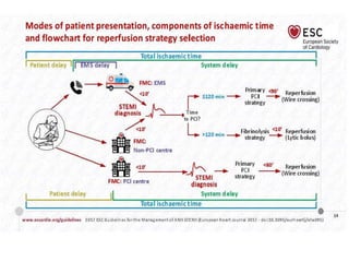 Stemi | PPTX