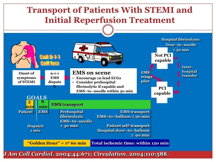 Stemi My Approach 2010