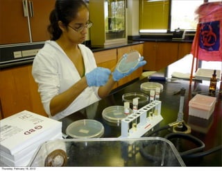 Thursday, February 16, 2012
 