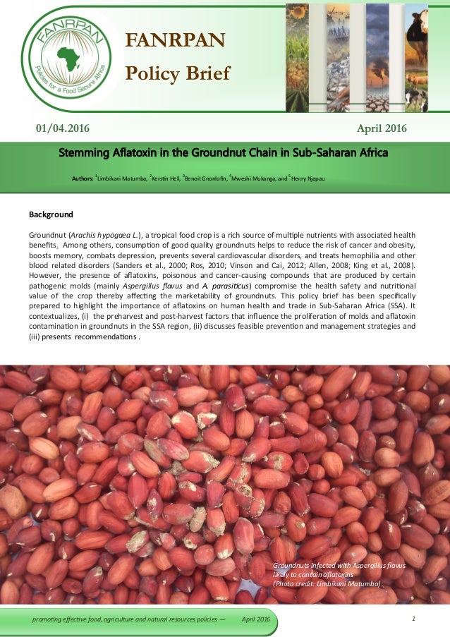 FANRPAN Policy Brief: Stemming Aflatoxin in the Groundnut ...