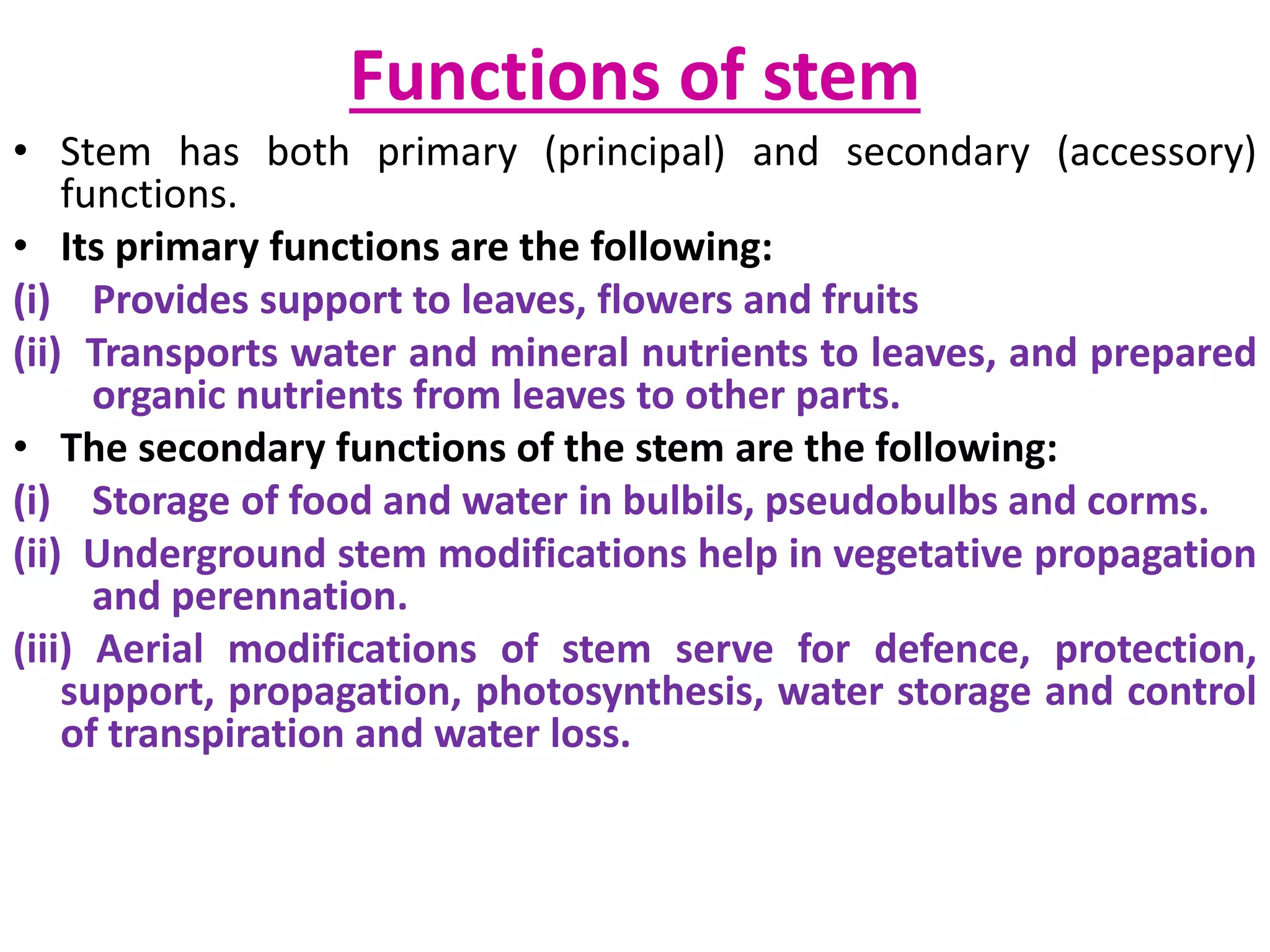 Stem modifications | PPTX