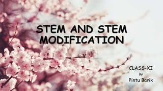 STEM AND STEM
MODIFICATION
CLASS-XI
By
Pintu Barik
 