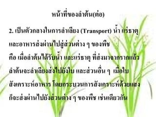 หน้าทของลาต้น(ต่ อ)
                      ่ี  ํ
2. เป็ นตัวกลางในการลําเลียง (Transport) นํา แร่ธาตุ
                                              ้
และอาหารส่ งผ่ านไปสู่ ส่วนต่ าง ๆ ของพืช
คอ เมื่อลําต้ นได้ รับนํา และแร่ธาตุ ทีส่งมาจากรากแล้ ว
      ื                 ้              ่
ลาต้ นจะลําเลียงส่ งไปยังใบ และส่ วนอืน ๆ เมื่อใบ
    ํ                                    ่
สั งเคราะห์ อาหาร โดยกระบวนการสั งเคราะห์ ด้วยแสง
กจะส่ งผ่ านไปยังส่ วนต่ าง ๆ ของพืช เช่ นเดียวกัน
  ็
 
