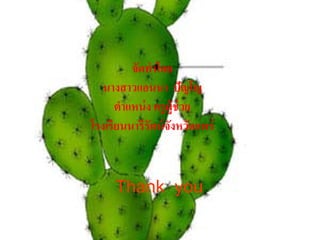 จดทาโดย
          ั ํ
   นางสาวแอนนา ปัญโญ
      ตาแหน่ง ครูผู้ช่วย
       ํ
โรงเรียนนารีรัตน์จงหวดแพร่
                  ั ั


     Thank you
 