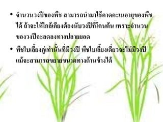 • จํานวนวงปีของพช สามารถนํามาใช้คาดคะเนอายุของพช
                        ื                                    ื
  ได้ ถ้ าจะให้ ใกล้ เคียงต้ องนับวงปี ทีโคนต้ น เพราะจํานวน
                                         ่
  ของวงปีจะลดลงทางปลายยอด
• พืชใบเลียงคู่เท่ านั้นทีมวงปี พืชใบเลียงเดียวจะไม่ มวงปี
            ้              ่ ี             ้ ่           ี
  แม้จะสามารถขยายขนาดทางด้านข้างได้
 