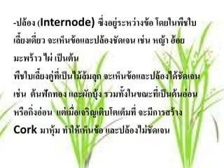 -ปล้ อง (Internode) ซึ่งอย่ ูระหว่างข้อ โดยในพชใบ         ื
เลียงเดียว จะเห็นข้ อและปล้ องชัดเจน เช่ น หญ้ า อ้ อย
    ้ ่
มะพร้ าว ไผ่ เป็ นต้ น
พืชใบเลียงคู่ทเี่ ป็ นไม้ ล้มลุก จะเห็นข้ อและปล้ องได้ ชัดเจน
          ้
เช่ น ต้ นฟักทอง และผักบุ้ง รวมทั้งในขณะทีเ่ ป็ นต้ นอ่ อน
หรือกิงอ่ อน แต่ เมือเจริญเติบโตเต็มที่ จะมีการสร้ าง
       ่              ่
Cork มาหุ้ม ทําให้ เห็นข้ อ และปล้ องไม่ ชัดเจน
 