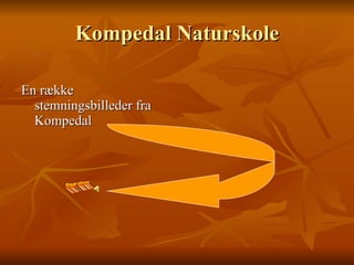 Kompedal Naturskole ,[object Object],Start show 