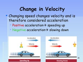 Change in Velocity 
 Changing speed changes velocity and is 
therefore considered acceleration 
 Positive acceleration speeding up 
 Negative acceleration slowing down 
3311 
 