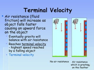 Terminal Velocity 
 Air resistance (fluid 
friction) will increase as 
object falls faster 
causing an upward force 
on the object 
 Eventually gravity will 
balance with air resistance 
 Reaches terminal velocity 
- highest speed reached 
by a falling object 
 Terminal velocity 
No air resistance Air resistance 
which is greater 
on the feather 
9922 
 