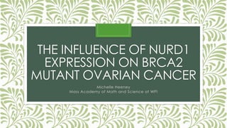 THE INFLUENCE OF NURD1
EXPRESSION ON BRCA2
MUTANT OVARIAN CANCER
Michelle Heeney
Mass Academy of Math and Science at WPI
 
