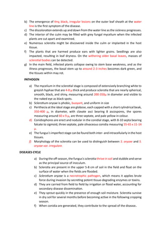 STEM ROT OF RICE.pdf