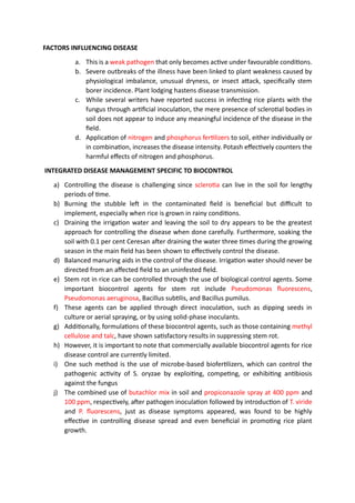 STEM ROT OF RICE.pdf