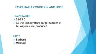 FAVOURABLE CONDITION AND HOST
TEMPERATURE
➢ 23-25 C
➢ At the temperature large number of
teliospores are produced
HOST
➢ Berberis
➢ Mahonia
 