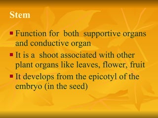 Stem Function for  both  supportive organs and conductive organ It is a  shoot associated with other plant organs like leaves, flower, fruit It develops from the epicotyl of the embryo (in the seed)‏ 