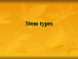 Stem types 