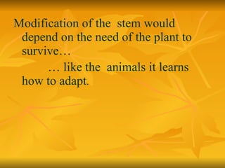 Modification of the  stem would depend on the need of the plant to survive… …  like the  animals it learns how to adapt . 