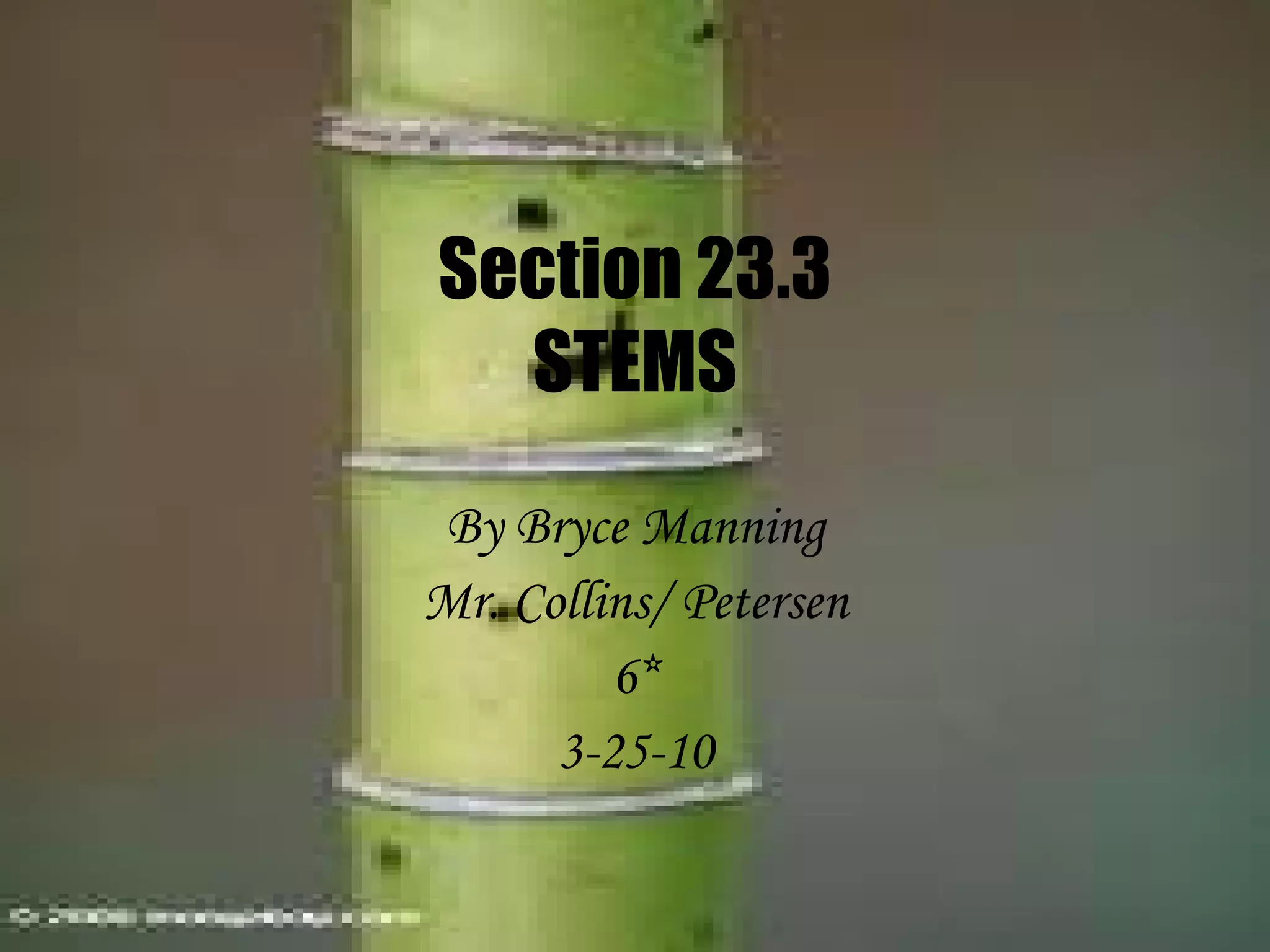 stems-ppt