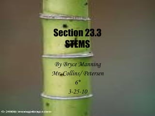 Section 23.3 STEMS By Bryce Manning Mr. Collins/ Petersen 6* 3-25-10 