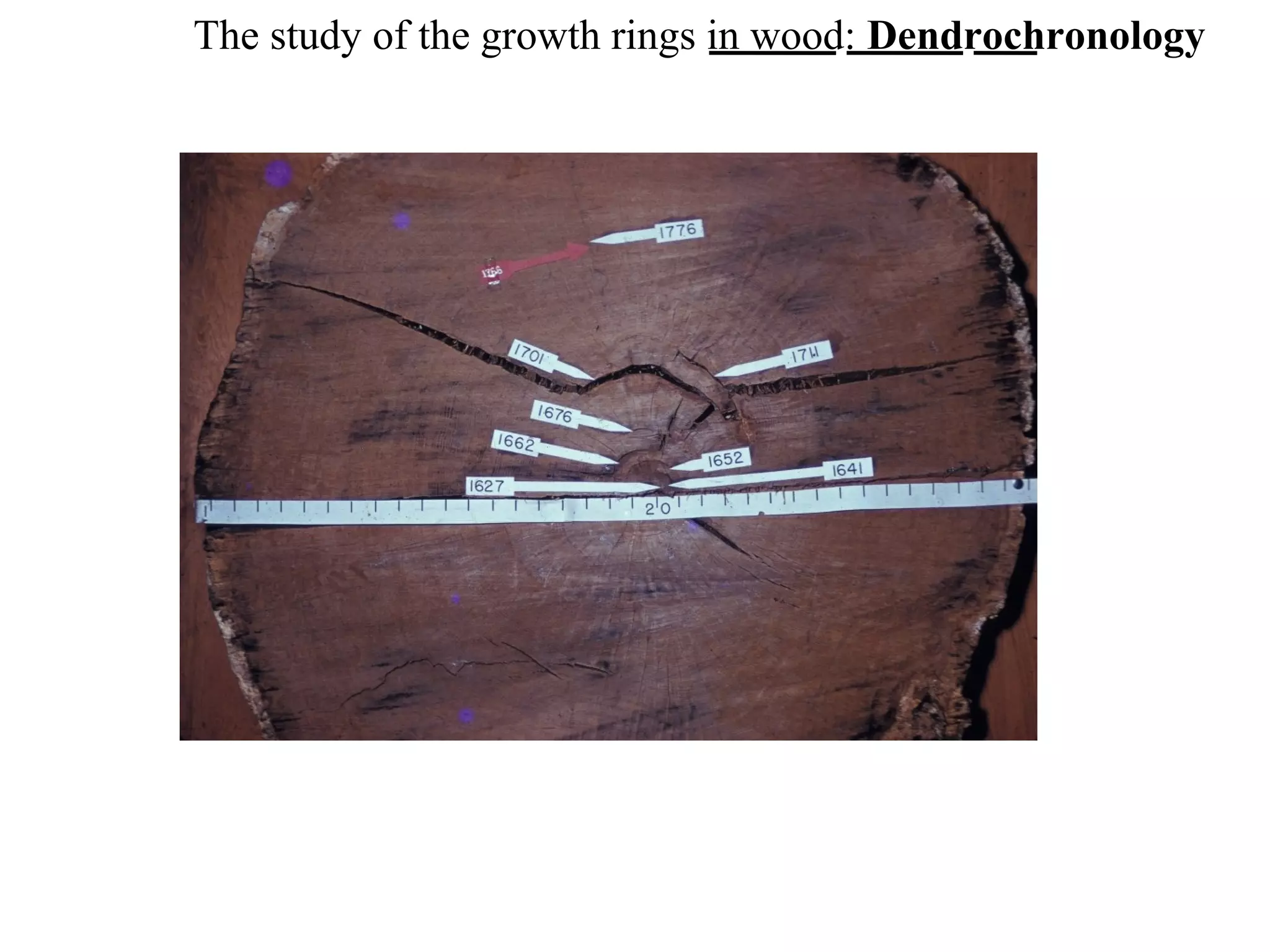The study of the growth rings in wood: Dendrochronology
 