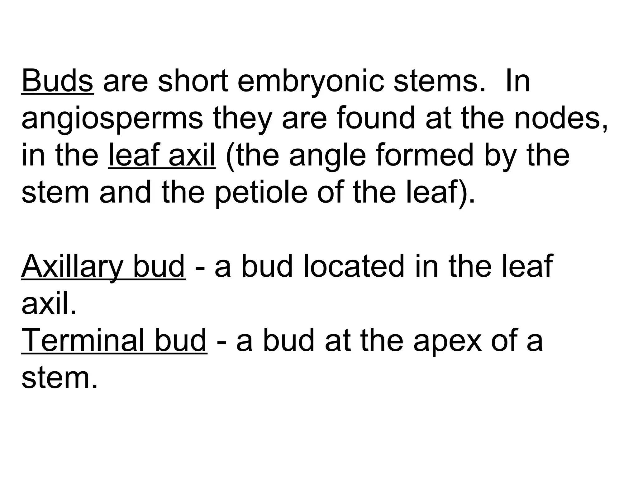 Buds
Buds are short embryonic stems. In
angiosperms they are found at the nodes,
in the leaf axil (the angle formed by the
stem and the petiole of the leaf).

Axillary bud - a bud located in the leaf
axil.
Terminal bud - a bud at the apex of a
stem.
 