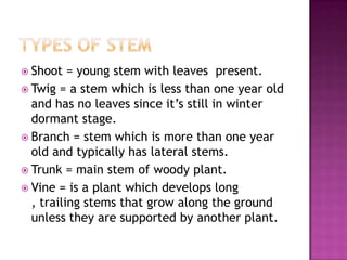  Shoot = young stem with leaves present.
Twig = a stem which is less than one year old
and has no leaves since it’s still in winter
dormant stage.
Branch = stem which is more than one year
old and typically has lateral stems.
Trunk = main stem of woody plant.
Vine = is a plant which develops long
, trailing stems that grow along the ground
unless they are supported by another plant.