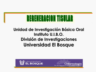 Unidad de Investigación Básica Oral
         Instituto U.I.B.O.
   División de Investigaciones
    Universidad El Bosque
 