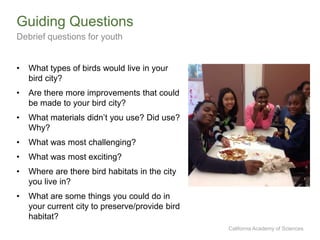 California Academy of Sciences
• What types of birds would live in your
bird city?
• Are there more improvements that could
be made to your bird city?
• What materials didn’t you use? Did use?
Why?
• What was most challenging?
• What was most exciting?
• Where are there bird habitats in the city
you live in?
• What are some things you could do in
your current city to preserve/provide bird
habitat?
Guiding Questions
Debrief questions for youth
 