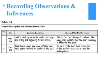Low Inference Observation Template Stem student research handbook 2 8-2013 | PPTX